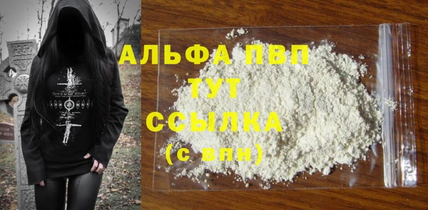 СК Зерноград