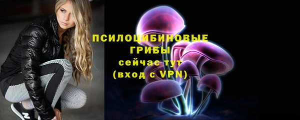 СК Зерноград