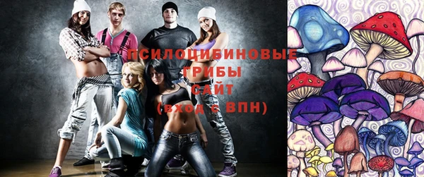 СК Зерноград