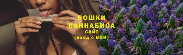 СК Зерноград