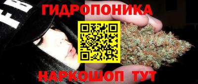 jwh Кандалакша