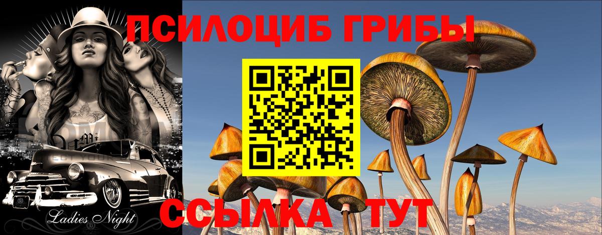 Галлюциногенные грибы мухоморы Пятигорск