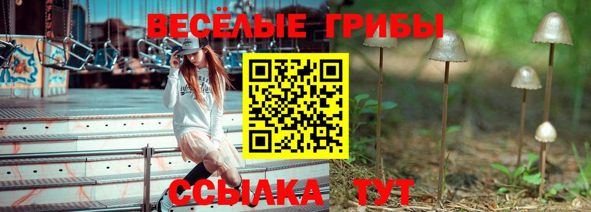 Пятигорск  Галлюциногенные грибы прущие грибы  Вход с VPN 